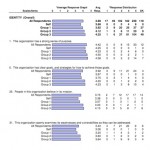 Survey report page sample