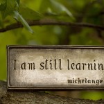 Education Michelangelo quote flickr Anne Davis