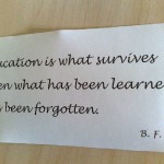 Education Skinner quote