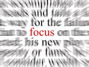 Focus valorebooks.com